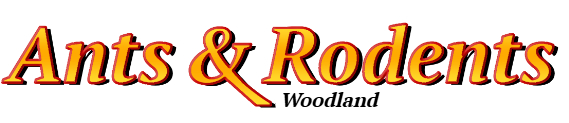 Woodland Ant Exterminator & Rodent Control Company Logo